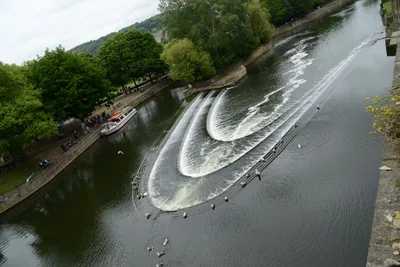 DSC_2553 (Large).JPG